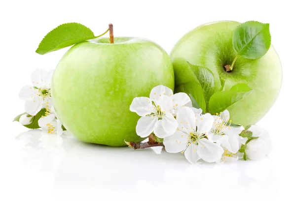 Dos manzanas verdes con hojas y flores aisladas sobre un respaldo blanco —  Fotos de Stock