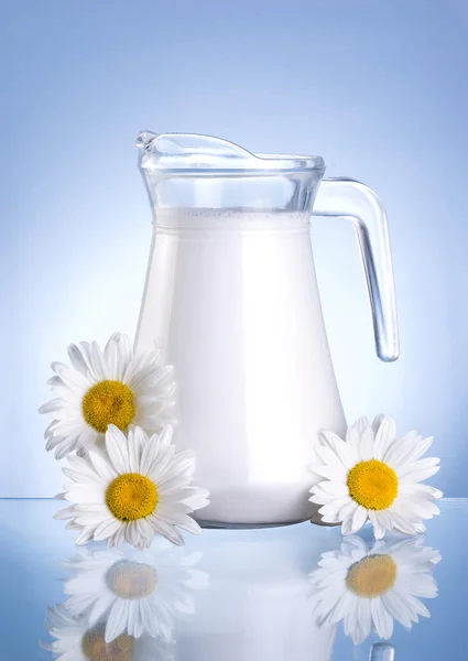 Jug fresh milk and three chamomile flowers on blue background — Stock Photo, Image