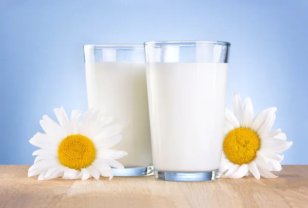 Iki bardak taze süt ve papatya çiçekleri olan ahşap masa üzerinde bir — Stok fotoğraf