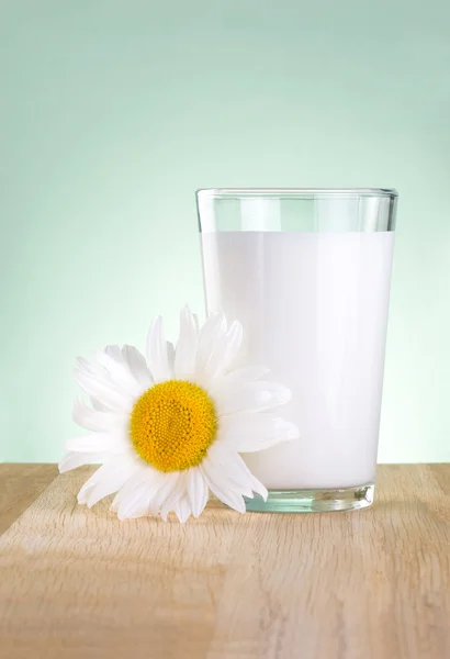 Il latte fresco di vetro e un fiore di camomilla è tavolo di legno su un — Foto Stock