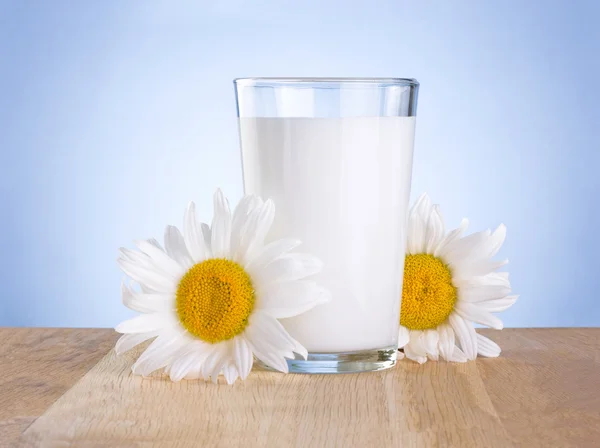 Glass fresh milk and two chamomile flowers is wooden table on a — Stock Photo, Image