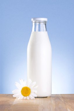 Bottle of fresh milk and chamomile flower is wooden table on a b clipart