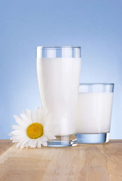 Dwa szkła świeżego mleka i rumianek kwiat jest drewniany stół na b — Zdjęcie stockowe