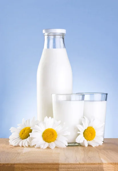 Bottle, two glass of fresh milk and three chamomile flower is wo — Stock Photo, Image