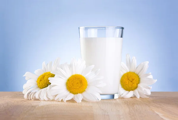 Glass fresh milk and three chamomile flowers is wooden table on — Stock Photo, Image