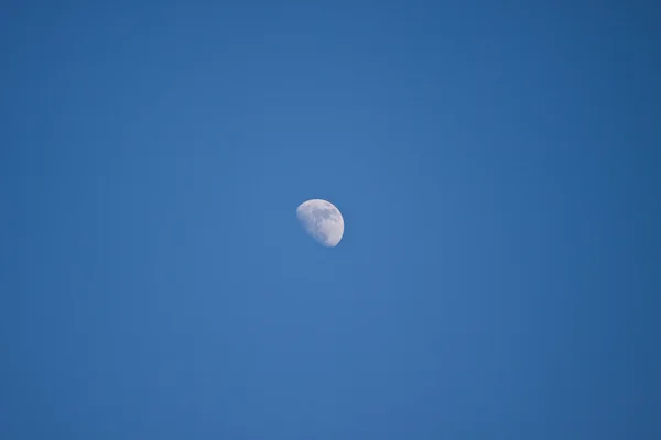 Fiatal Hold az égen — Stock Fotó