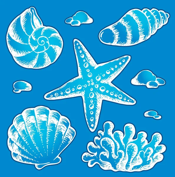 Sea shells drawings 2 — Stock Vector