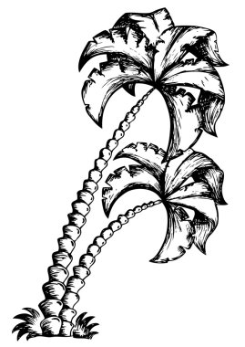 Palm tree theme drawing 1 clipart