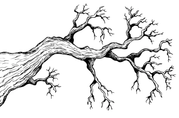 Tree theme drawing 3 — Stok Vektör