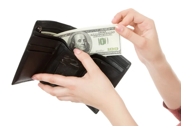 Dollar i handväskan — Stockfoto