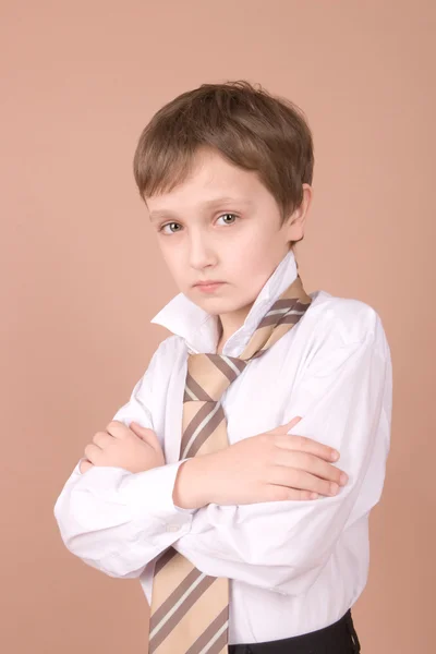 若いビジネスマンの肖像画 — ストック写真