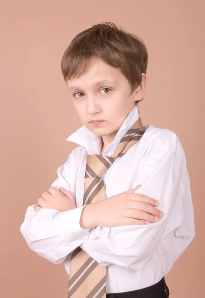 Young businessman portrait — Stock Photo, Image
