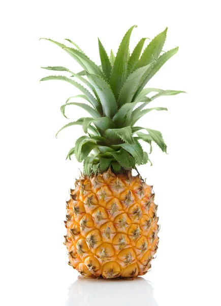 stock image Ripe pineapple