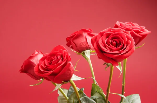 红色背景上的五个玫瑰花束 — 图库照片