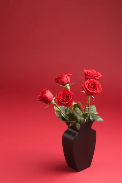Five red roses in the vase on the red background — Stock Photo, Image