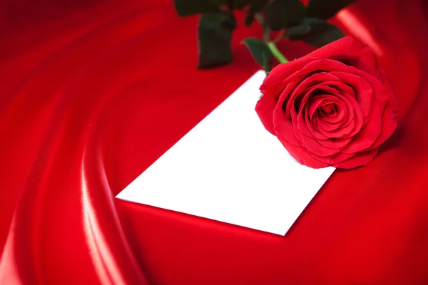 信和红缎背景下的玫瑰 — 图库照片