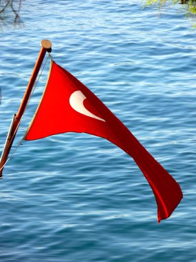 Flag of Turkey clipart