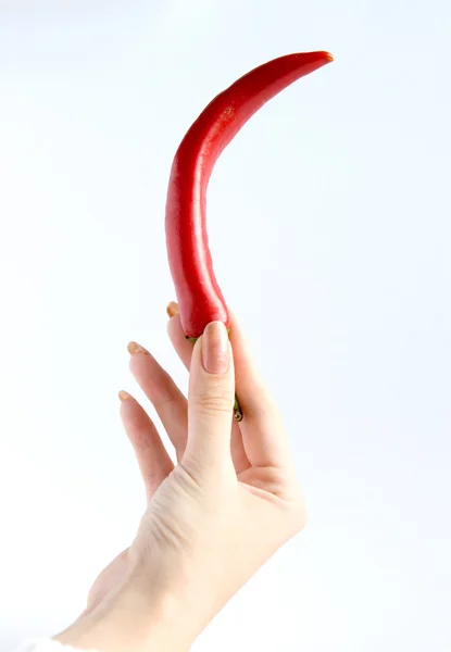 Rode peper in hand — Stockfoto