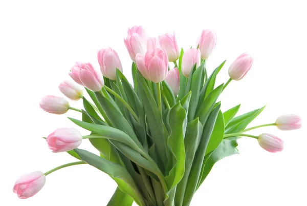 stock image Bouquet of tulips