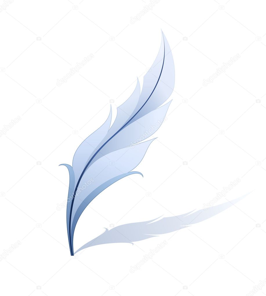 Feather detailed illustration