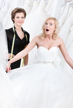 Bride goes into raptures clipart