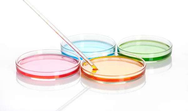 Group of Petri dishes with a colored liquids — Stock Photo, Image