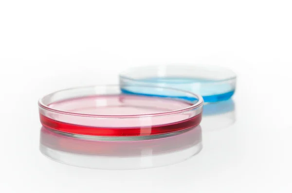 Gruppo di piatti Petri con reagenti colorati — Foto Stock