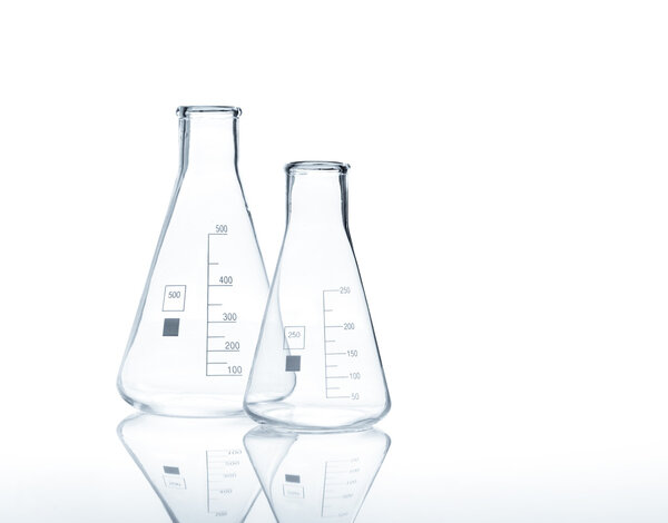 Two empty conical Erlenmeyer flasks