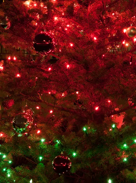 Χριστουγεννιάτικο δέντρο Φωτογραφία Αρχείου