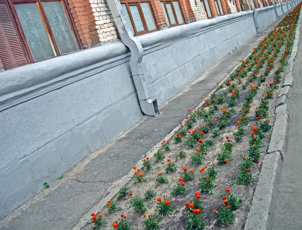 Línea de flores abstracta cerca de edificio industrial, medio ambiente . — Foto de Stock