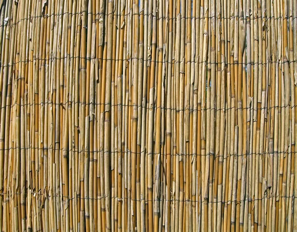 Abstract yellow bamboo wall, construction details. — Stock Photo, Image