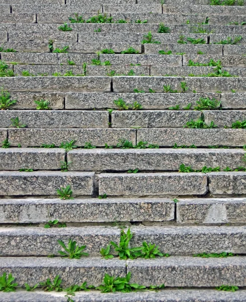 Stenen trap met groen gras tussen granieten stenen. — Stockfoto