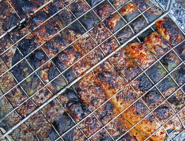 Abstrakt röd grillad fisk matlagning med metall galler, picknick. — Stockfoto