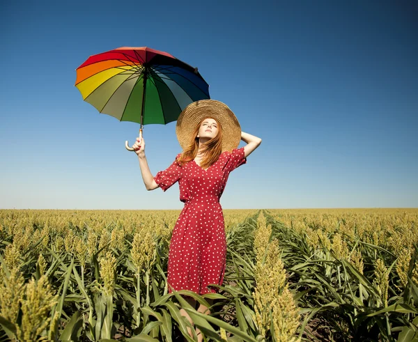 Chica con paraguas en el campo de maíz — Foto de Stock