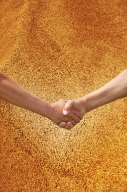 Two farmer's hands handshake against the background of the harve clipart