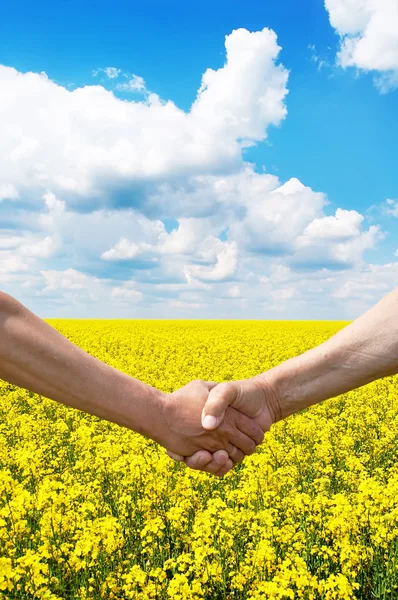 Dvě farmář ruce handshake na sklizeň řepky field. — Stock fotografie