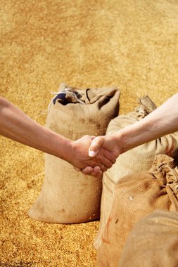 Farmers handshake at sacks background. clipart