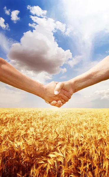 Jordbrukare handslag på vete fält bakgrund. — Stockfoto