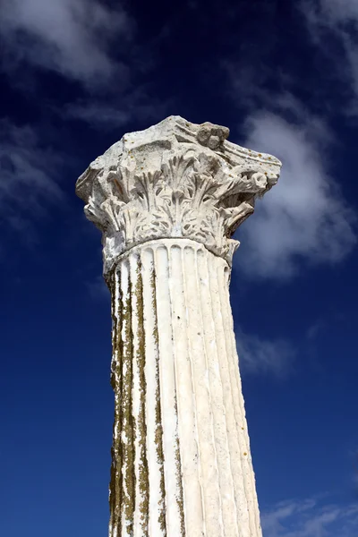 Ancient column Stock Picture