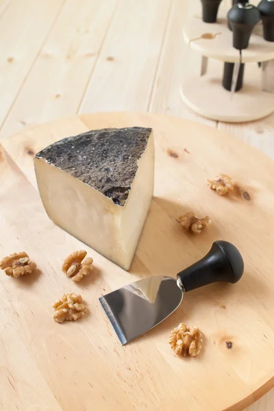 Stock image Pecorino cheese with walnuts