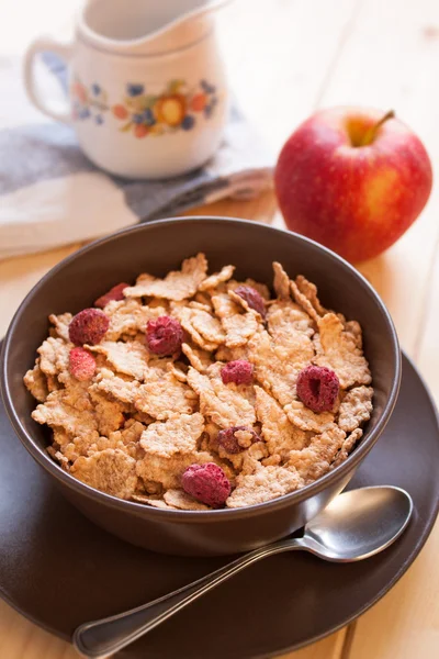 Cereales de desayuno y manzana — Foto de Stock