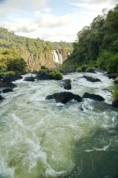 İguasu falls — Stok fotoğraf