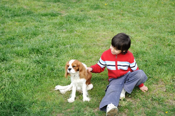 Ung pojke leker med en hund — Stockfoto