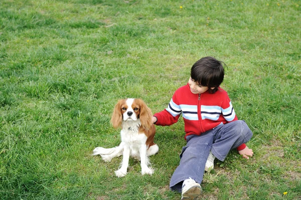 Fiatal fiú játék-val egy kutya — Stock Fotó