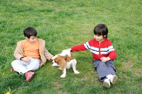 Två unga pojkar som leker med en hund — Stockfoto