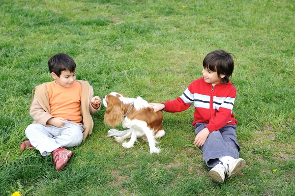 Két fiatal fiú játék-val egy kutya — Stock Fotó