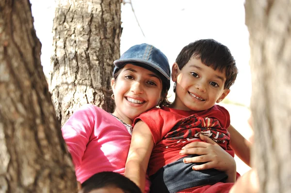 Kinderen in scout kamp spelen op boom — Stockfoto