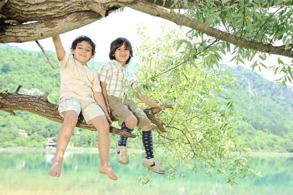 Діти сидять на гілці дерева — стокове фото