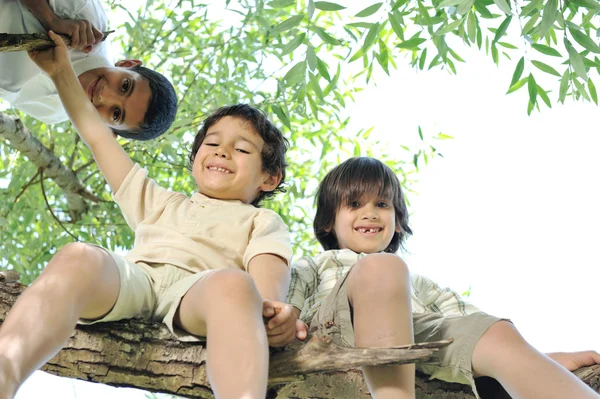 Niños sentados en una rama de un árbol —  Fotos de Stock