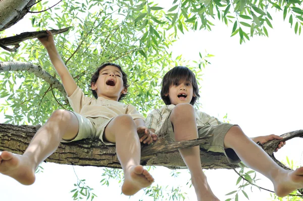 Дети, сидящие на ветке дерева — стоковое фото